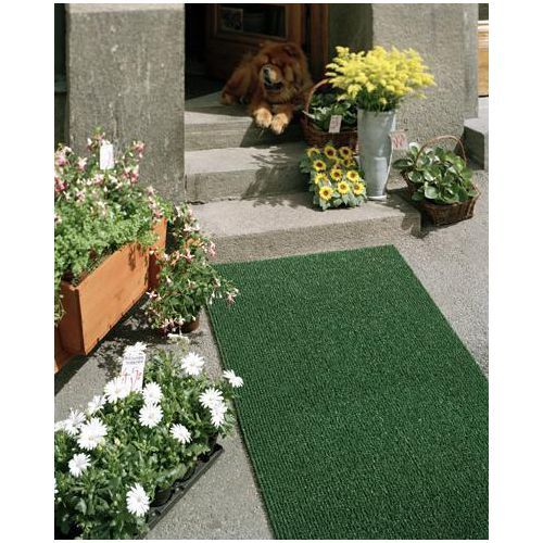 Kuramatto Astro Turf