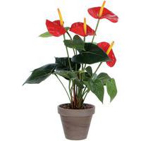 Keinotekoinen Anthurium-kasvi - Vepabins