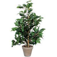 Ficus Exotica Keinotekoinen kasvi 65cm - Vepabins